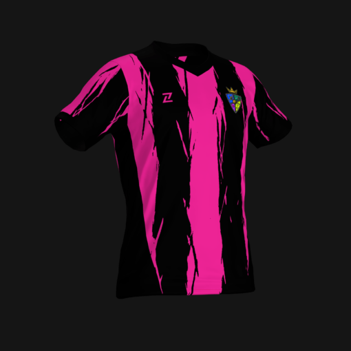 PARALITRICOS PFC