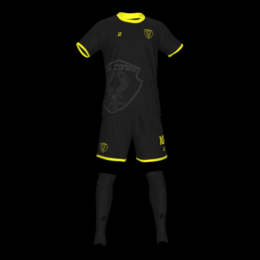 CDF HALCONES DE VITORIA