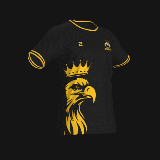 FCP ESPORTS