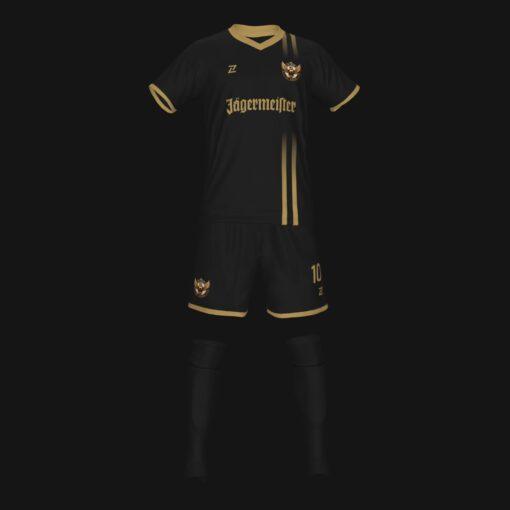 FC GAID 2025