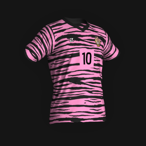 LLEONS FC
