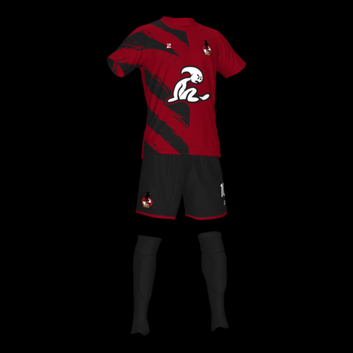 ME RIO DE JANEIRO FC ALTERNATIVA