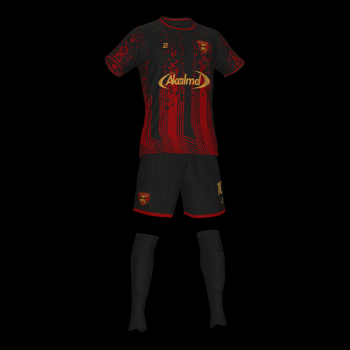 INTER DE PLAYAGRANADA