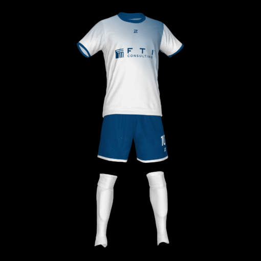 FTI CONSULTING