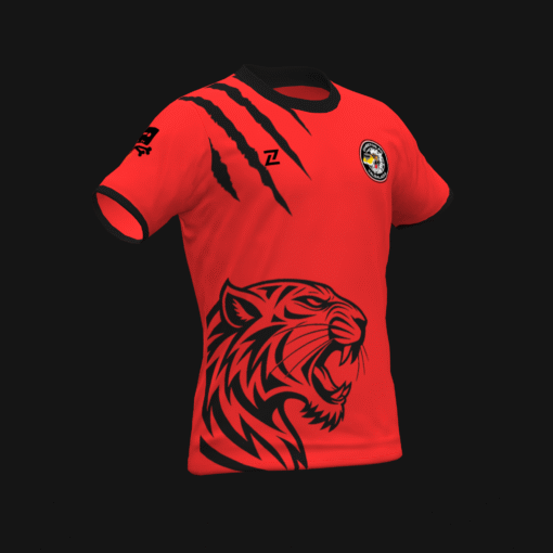 CHEETOS FC