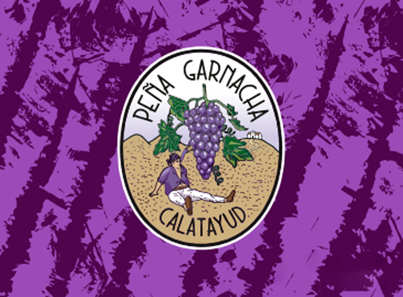 PEÑA GARNACHA CALATAYUD - Imagen 9