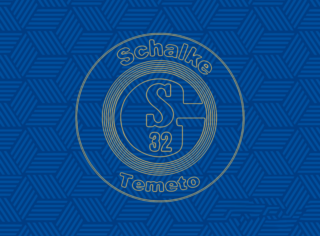 SCHALKE TEMETO MADRID - Imagen 9
