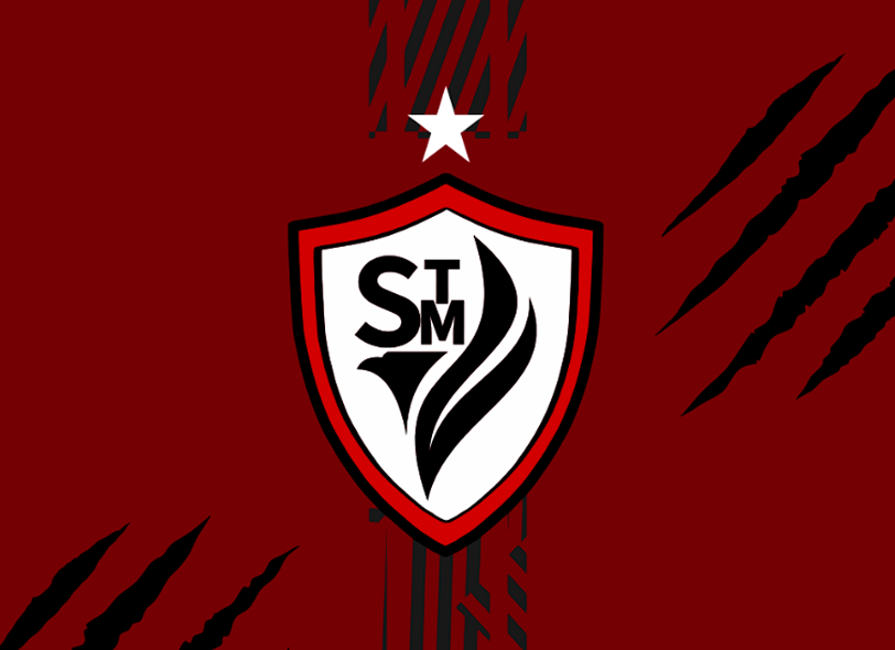 STM - Imagen 9