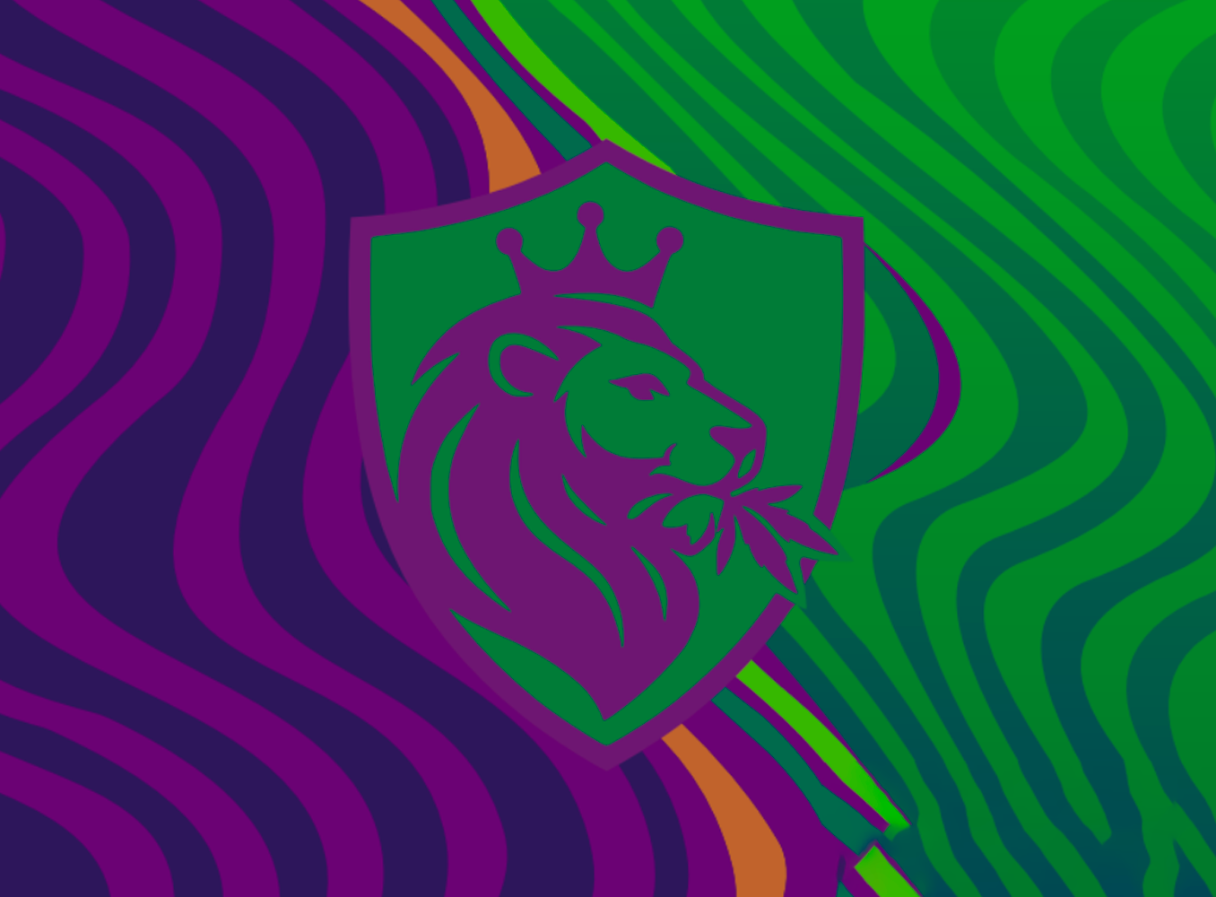 ENCALIFORNIAOS CC - Imagen 9