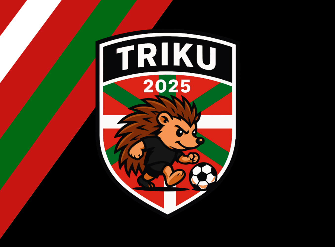 TRIKU TEAM - Imagen 9