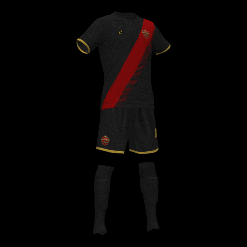 REAL INDESANTOS