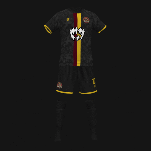 DINEROS F.C.
