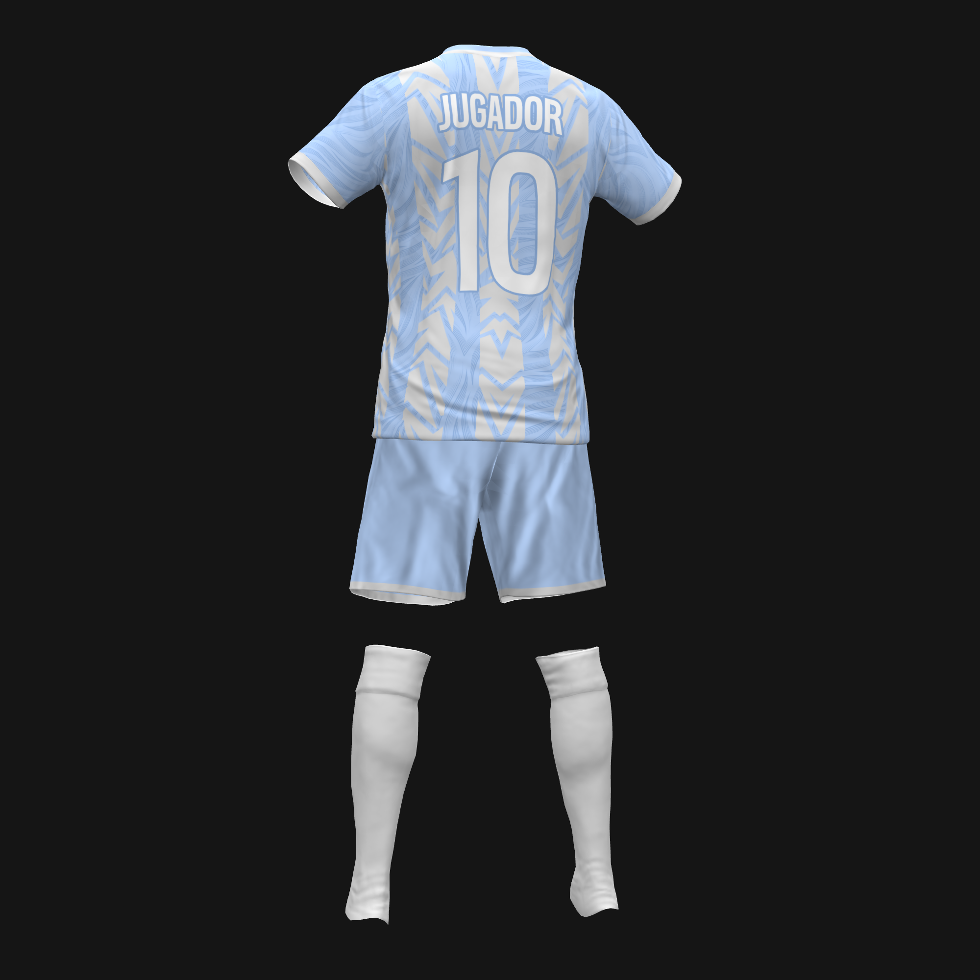 FRENCH DOLPHINS OF PANAME 2025 - Imagen 2